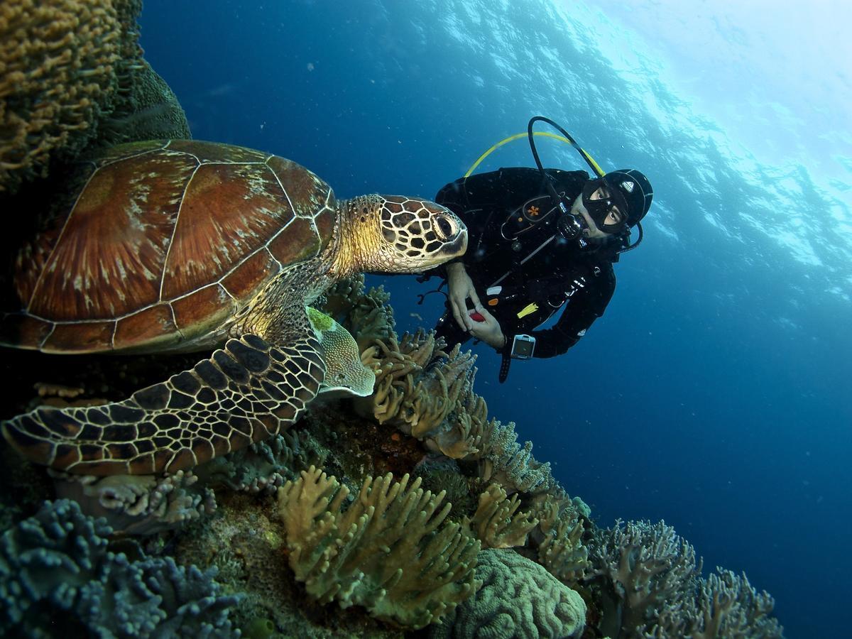Liquid Dive Resort داوين المظهر الخارجي الصورة